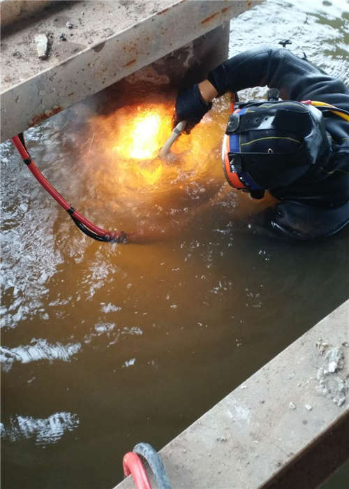新沂市潜水员— —水下堵漏作业
