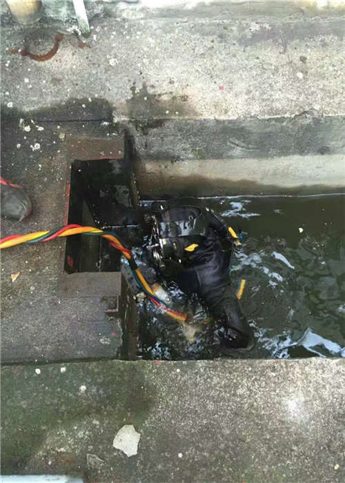 惠州市蛙人安装堵水气囊--—（潜水服务）