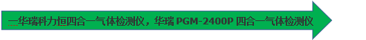 PGM-2400便携式气体检测仪