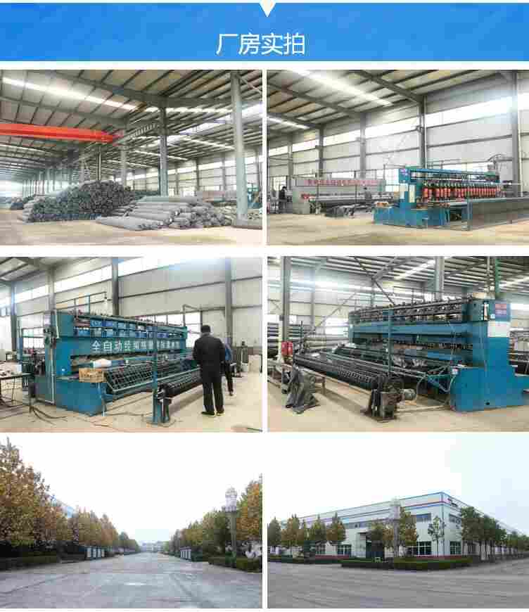 承德钢塑土工格栅厂家——承德、股份有限公司(欢迎莅临)