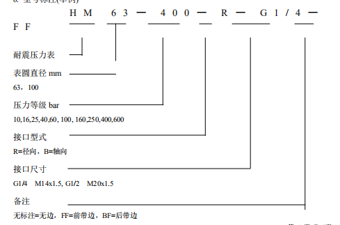 HM63-400-R-G1/4耐震款压力表测量范围