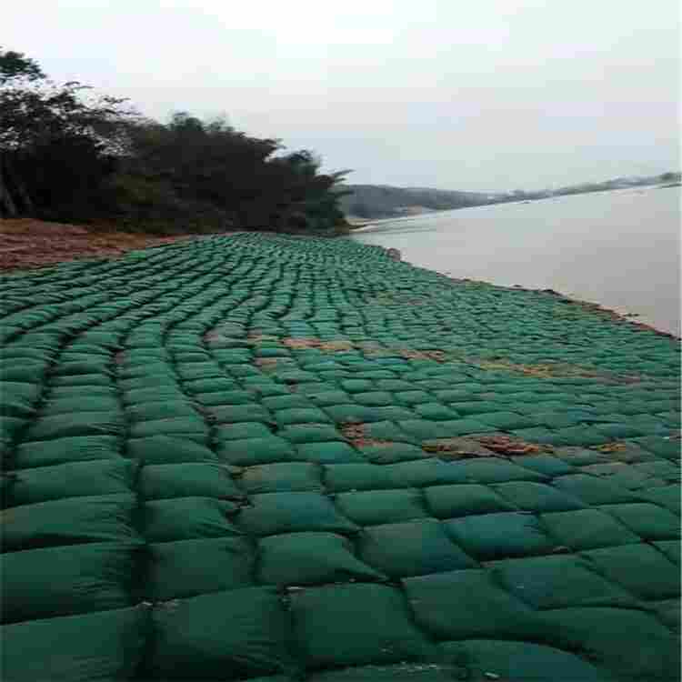 欢迎您——常德——绿色护坡生态袋——厂家销售(莅临光临)