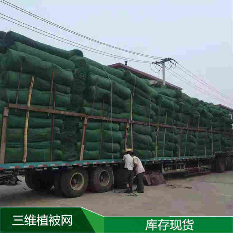 欢迎——威海三维植被网——(股份有限公司——欢迎您)