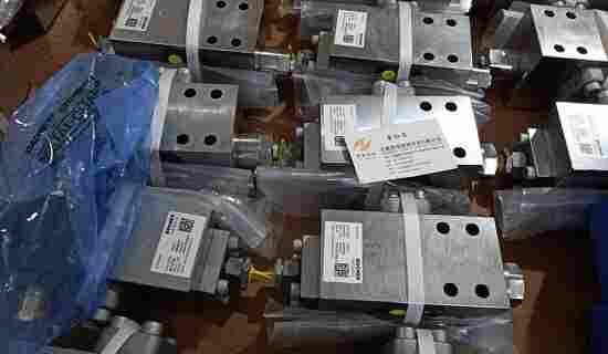 CINDY12-B-PNO-S140-A-G10-1 