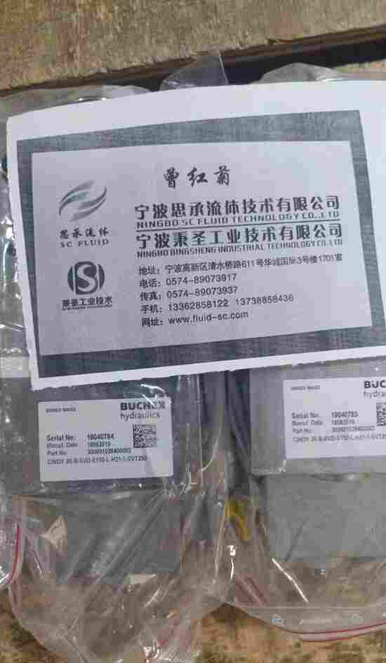 CINDY12-B-PND-S100-L-D21-1