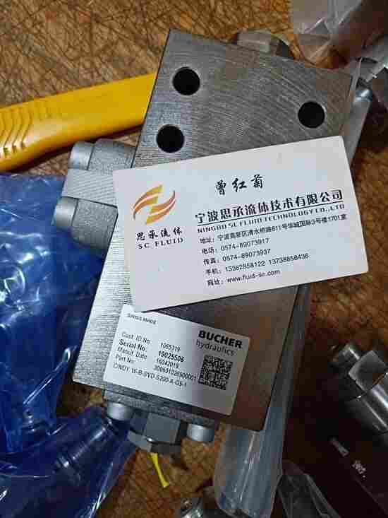 CINDY12-B-PND-S100-L-D21-1