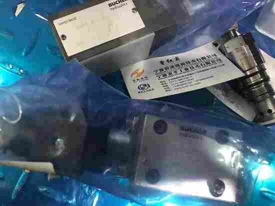 CINDY12-B-PND-S100-L-D21-1