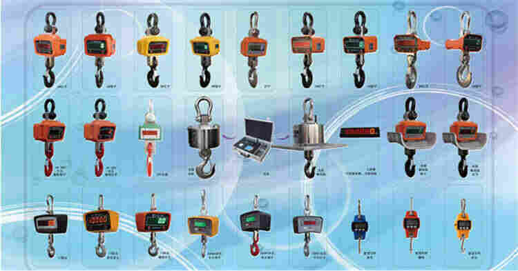 连云港15吨电子吊钩秤使用