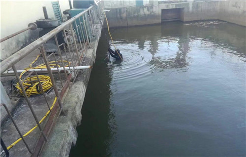 珠海市闸门水下堵漏-蛙人水下施工队