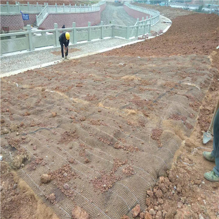 厂家直销贵州堤坝护坡绿化 河道修复塑筋水保抗冲椰垫 加筋椰垫