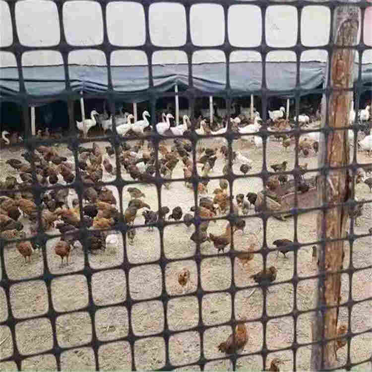 :成都.双向土工格栅(到家)()