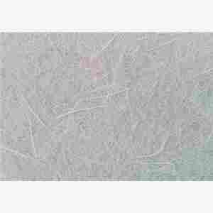 环保草毯麻椰固土毯植草毯苏州价格——苏州单价