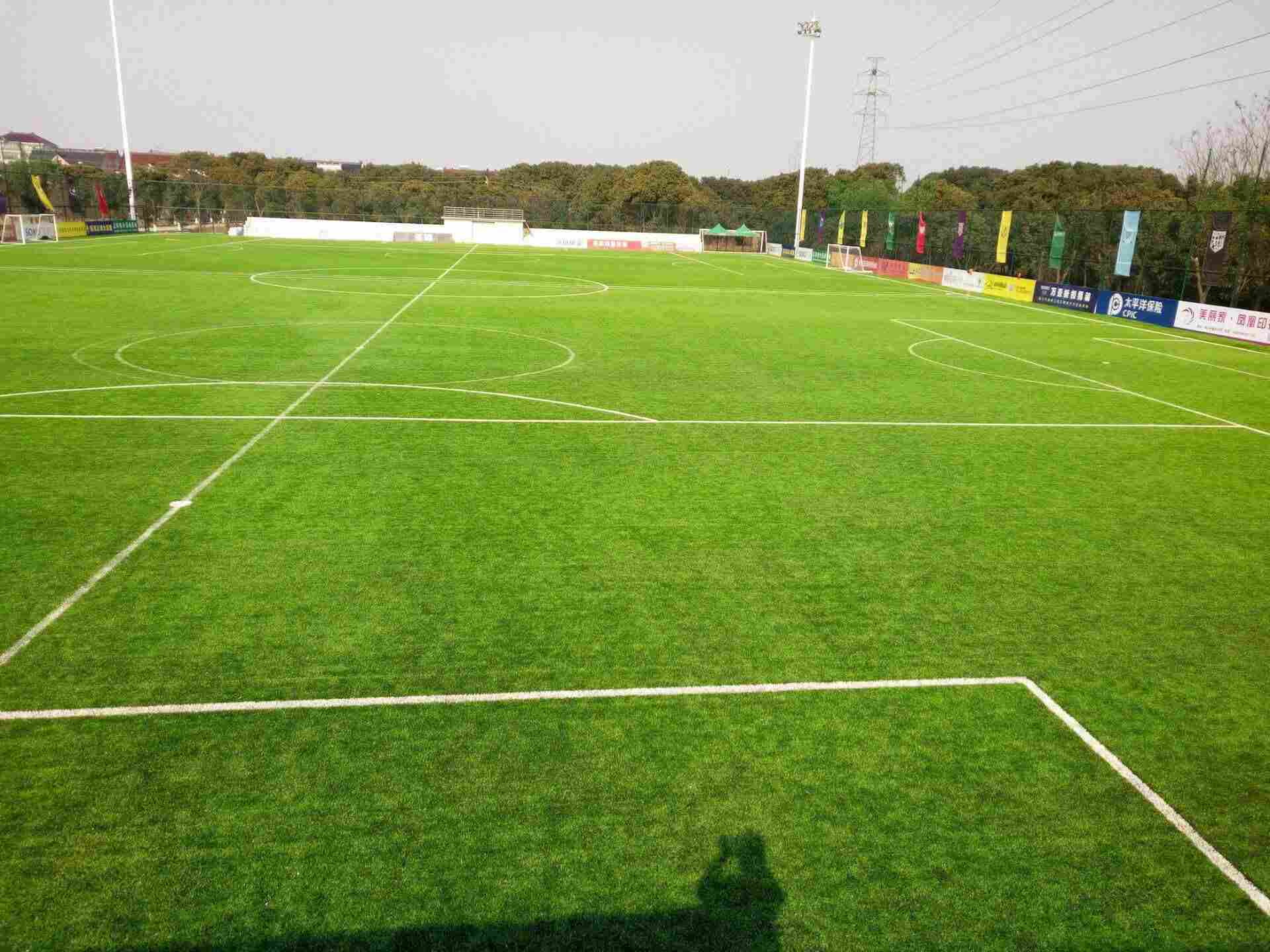 赣州.塑料草坪——（厂家价格销售）