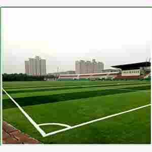 潍坊塑料草坪——塑料草坪价格及厂家