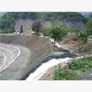 植草护坡蜂巢焊接铆接插接土工格室厂家及价格——防城港