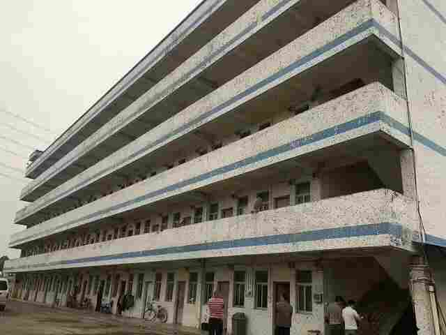 齐河县幼儿园抗震安全鉴定检测报告