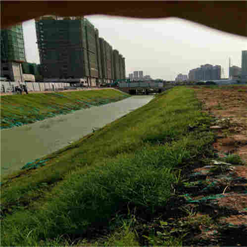 水土保护毯厂家及价格——邵阳