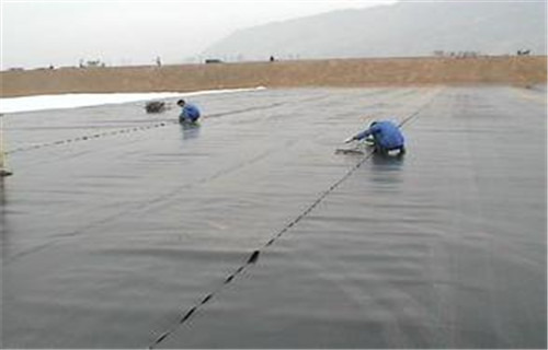 衡水HDPE防水板实力厂家——以客为尊