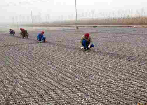 ——泰安钢塑土工格栅--公司集团-供应商--欢迎您