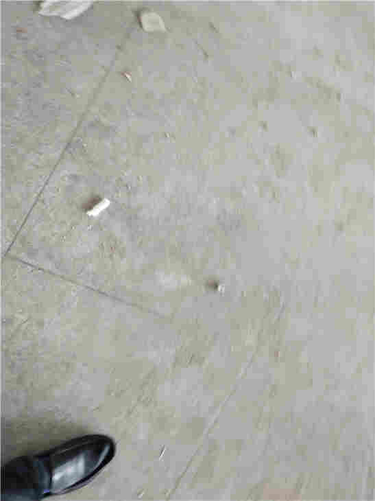 阿荣旗厂房承载力安全检测出报告时间快