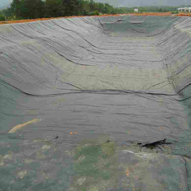 茂名塑料土工格栅价格*实力生产厂家