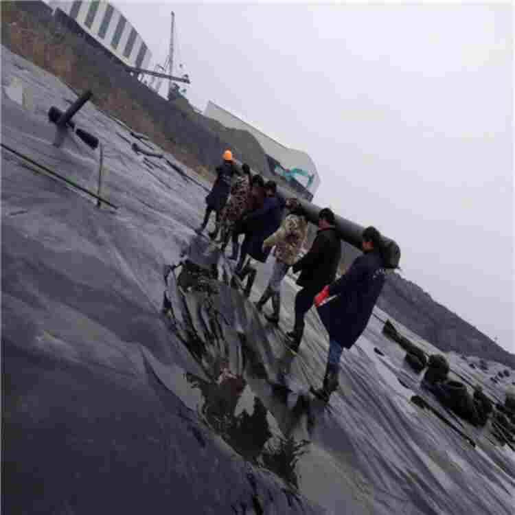 定西生态袋价格√√厂家价格优惠