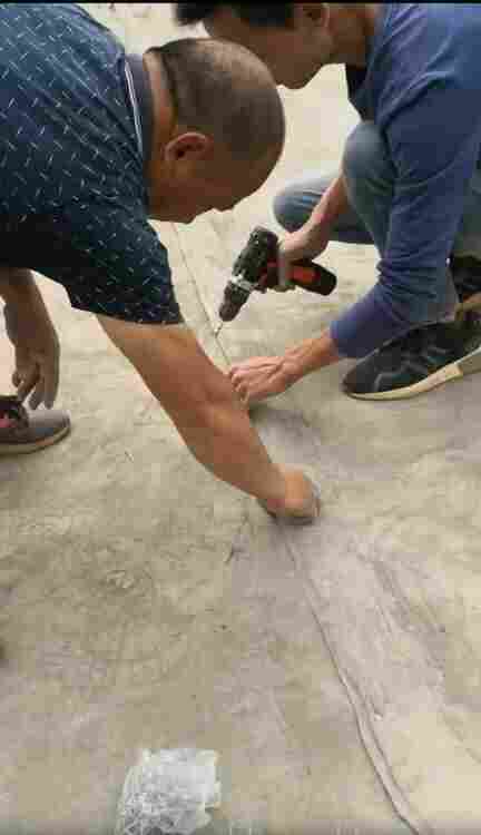 黑龙江大兴安岭钢塑土工格栅价格*实力厂家