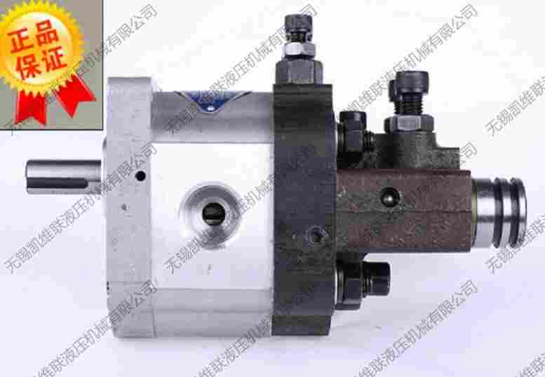 深圳,CBS-D306,双向复合齿轮泵,代直销,