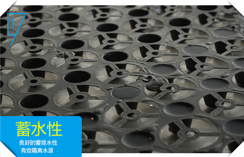 潮州HDPE排水板——潮州土工材料厂家欢迎您！