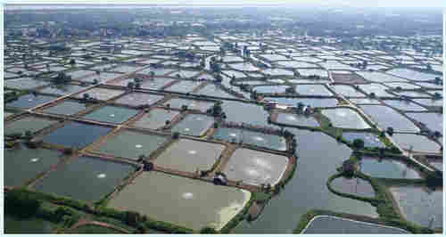 欢迎——辽阳一布一膜——辽阳欢迎您！欢迎您！