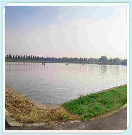 欢迎——贵港EVA防水板——贵港土工（集团）有限公司欢迎您！