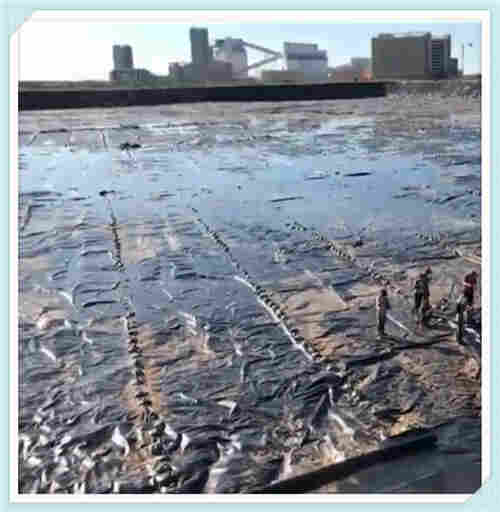 欢迎——陇南HDPE土工膜（（欢迎您！