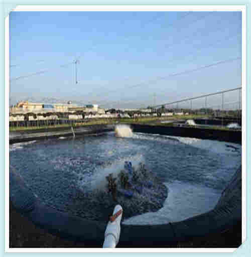 欢迎——池州隧道防水板——池州集团）有限公司欢迎您！