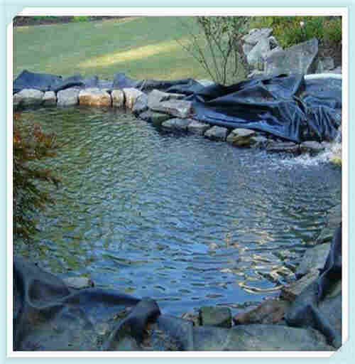 欢迎——巴彦淖尔两布一膜——巴彦淖尔欢迎您！欢迎您！