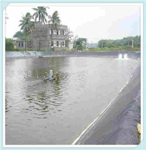 欢迎——滨州三布两膜——滨州股份）有限公司欢迎您！