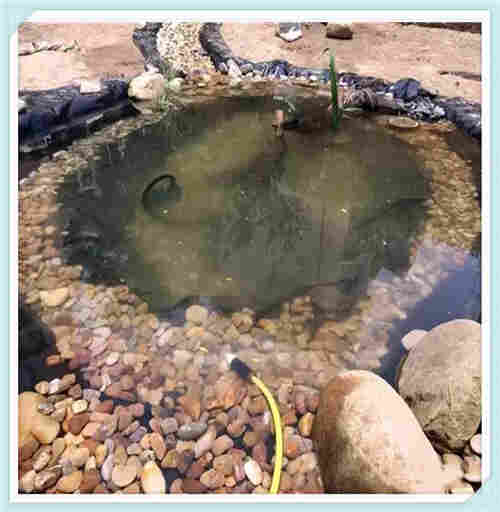 欢迎——汉中隧道防水板——汉中欢迎您！欢迎您！