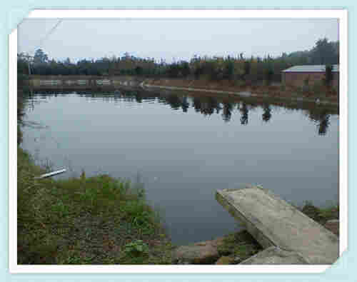 欢迎——潮州EVA防水板——潮州股份公司欢迎您！