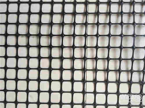 百色肓雏网厂家(门市价)