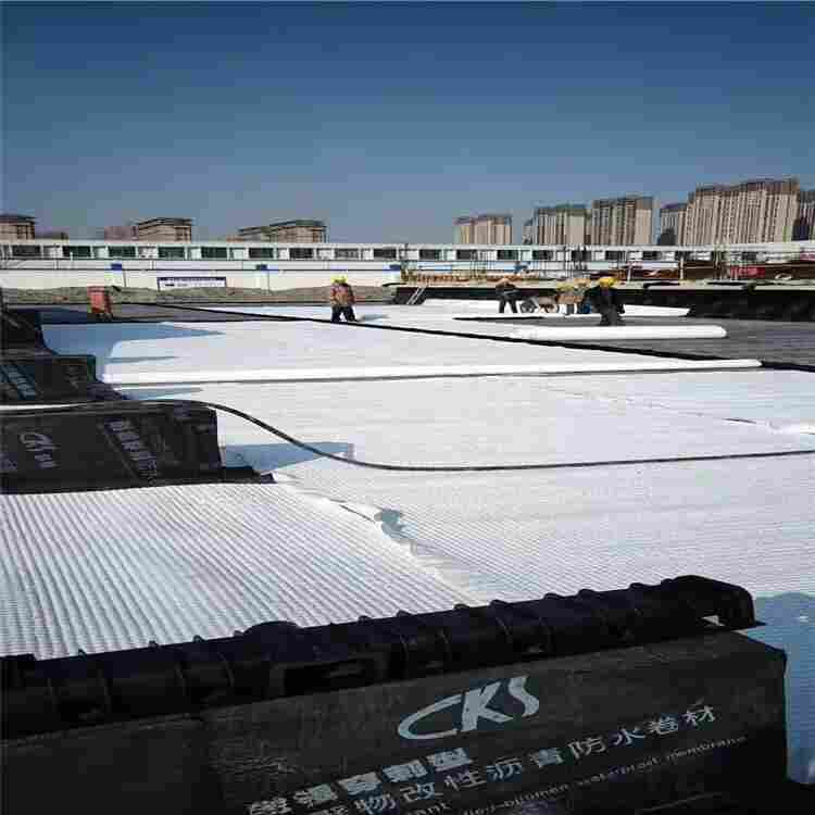 欢迎——塘沽PED14高分子异形片材自粘土工布——有限公司--欢迎您