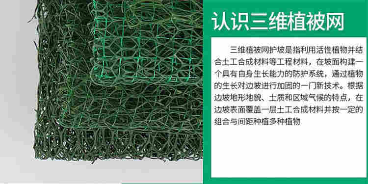 山西太原三维网价格*生产厂家