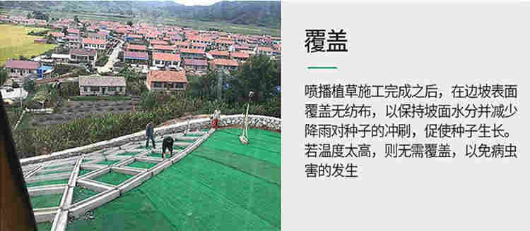 欢迎—拉萨三维网格—厂家—-—高速护坡三维网