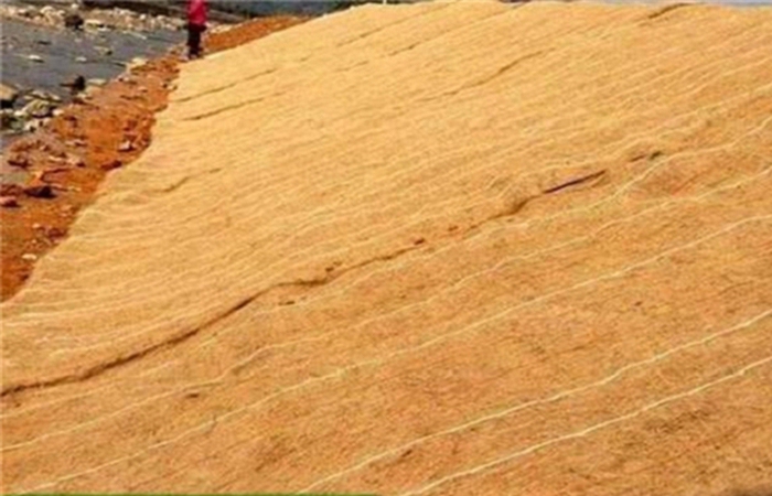 荆门抗冲生态毯型号规格-荆门一体化营养土纤维护坡草毯