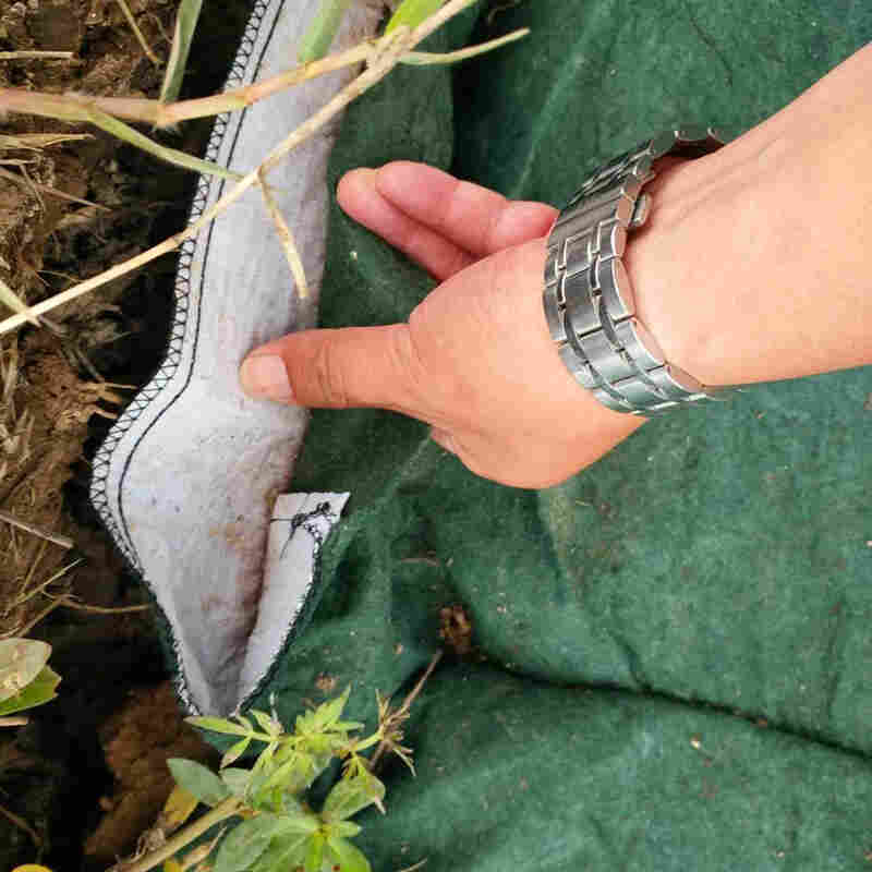 欢迎:亳州河道护坡生态袋——亳州生产公司