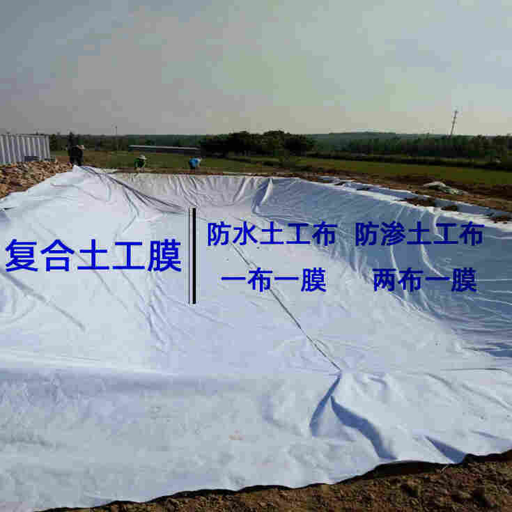 上海市河道治理防水土工布—指导施工