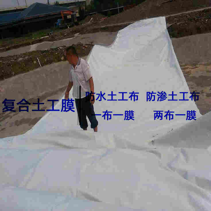河南300克防渗土工膜—堵漏隔离