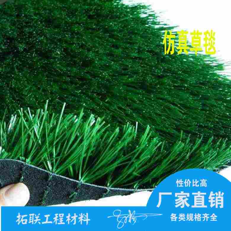 潍坊塑料草坪——塑料草坪价格及厂家