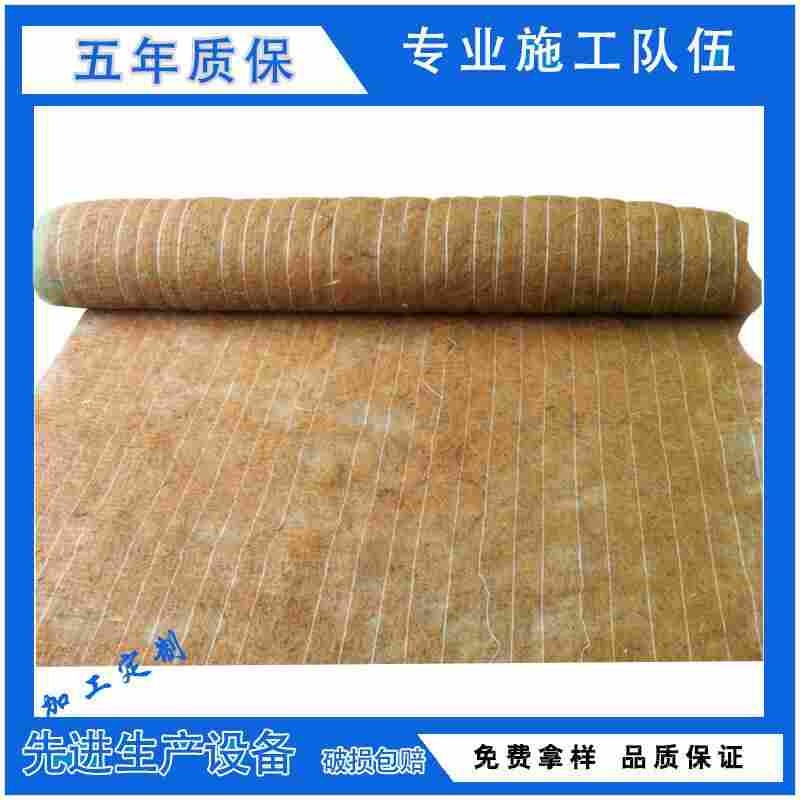 揭阳———植生毯绿化带（价格优惠）