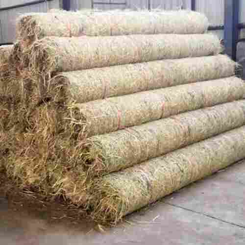 盐城GBM生态毯（咨询电话）