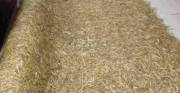 泸州———生态毯的作用(加工基地)