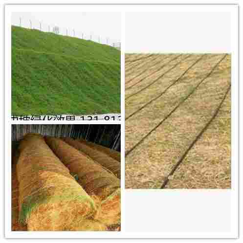 西安植生毯绿化带——(送货到工地)